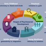 Erikson development psychosocial theories